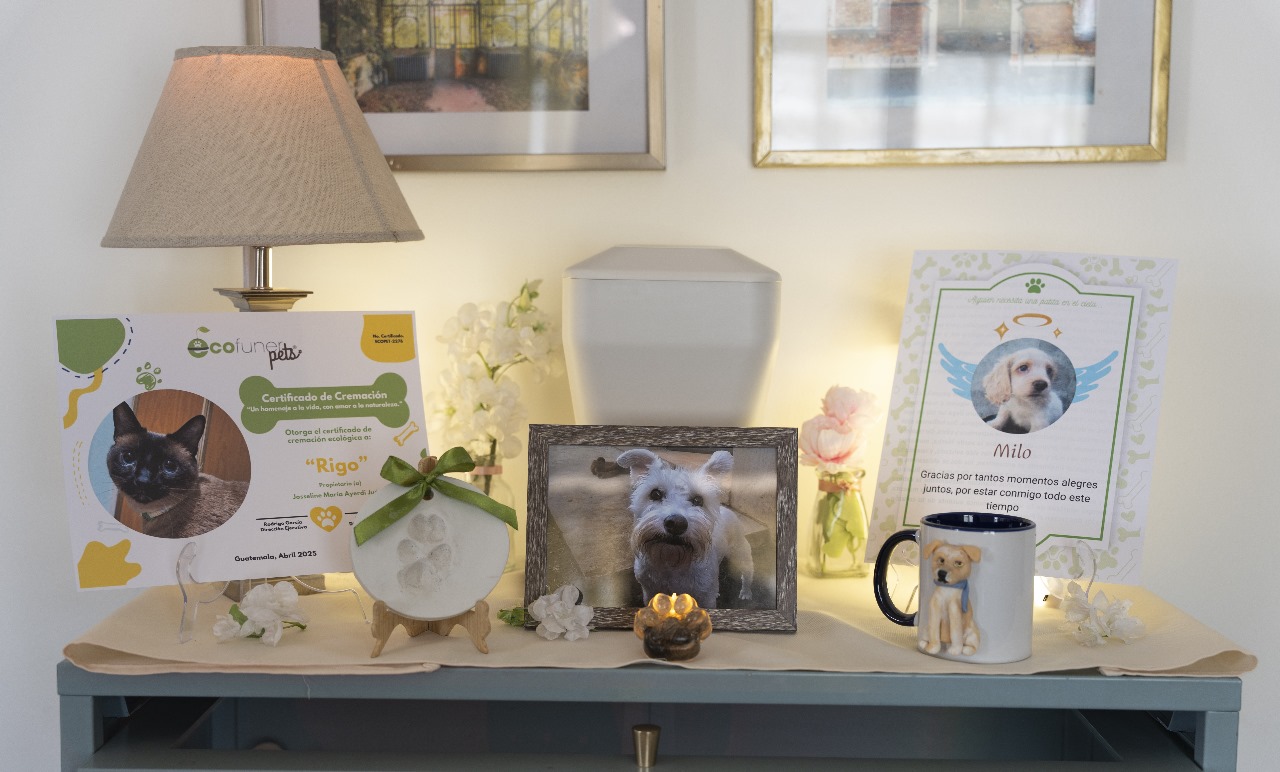 Tips e ideas de homenajes en casa para el peludito ausente