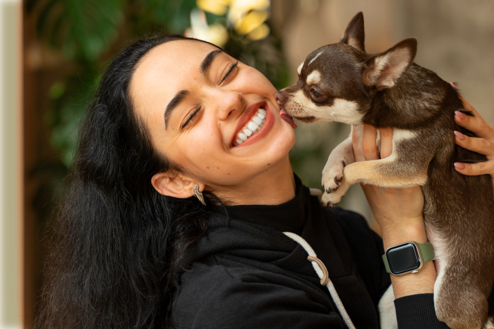 ¿Por qué los perros nos lamen? 5 formas de amor (y una advertencia)