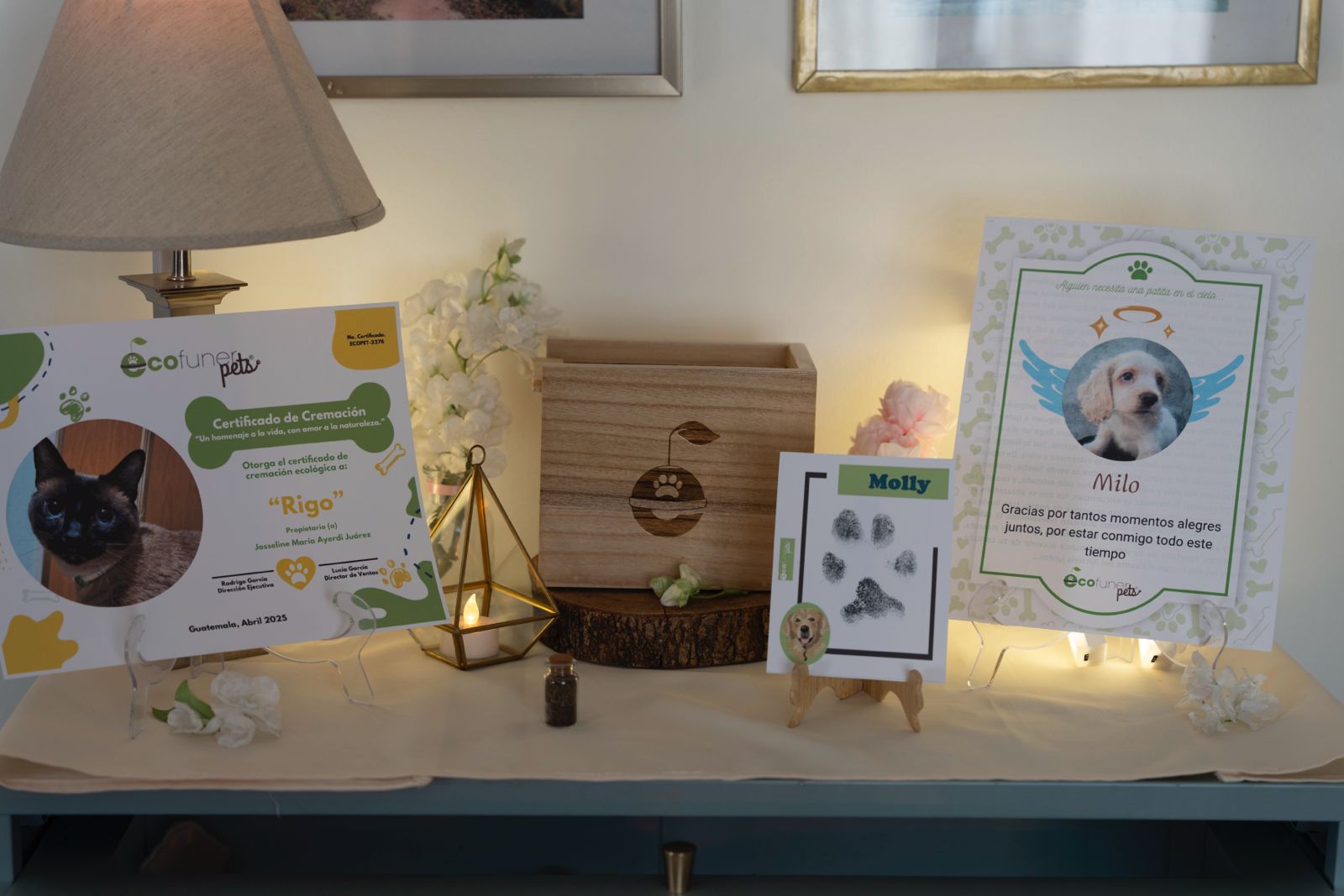 ¿Puedo enterrar a mi mascota en mi casa en Guatemala?