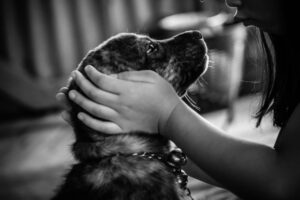 ¿Cómo afrontar el duelo por una mascota en familia?