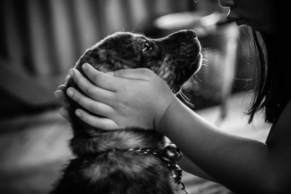 ¿Cómo afrontar el duelo por una mascota en familia?