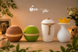 Tipos de urnas para mascota